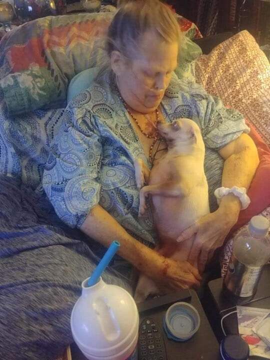 My sister was diagnosed with cancer of the lungs, liver and brai