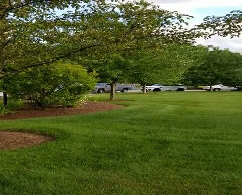 Memorial drive up - Video View Page