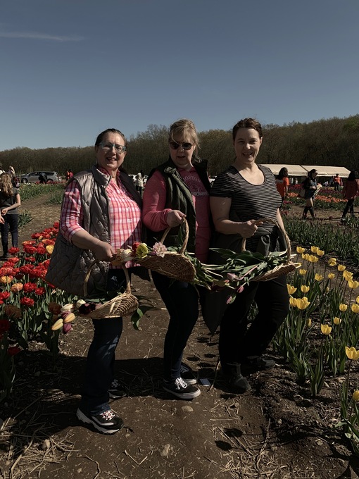 Wicked Tulips - May 2019