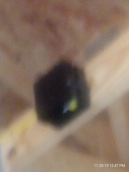 Pictures of Garage taken November 2019 - 9