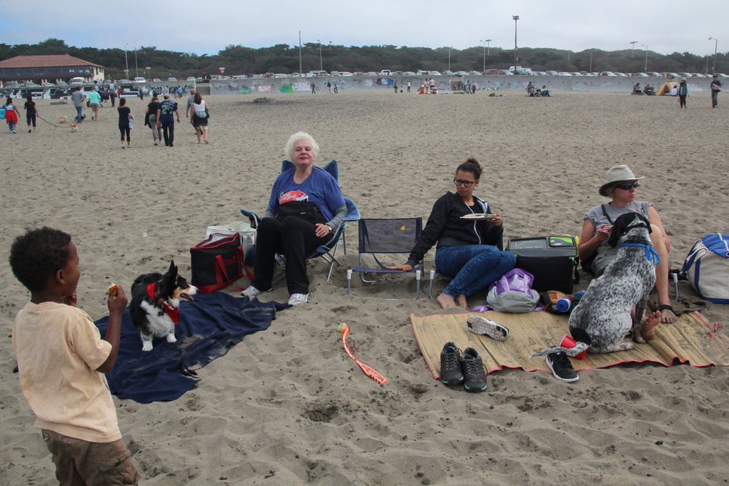 NorCal CorgiCon @ SF Beach