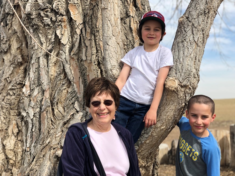 Sunflower Farm- Colorado
