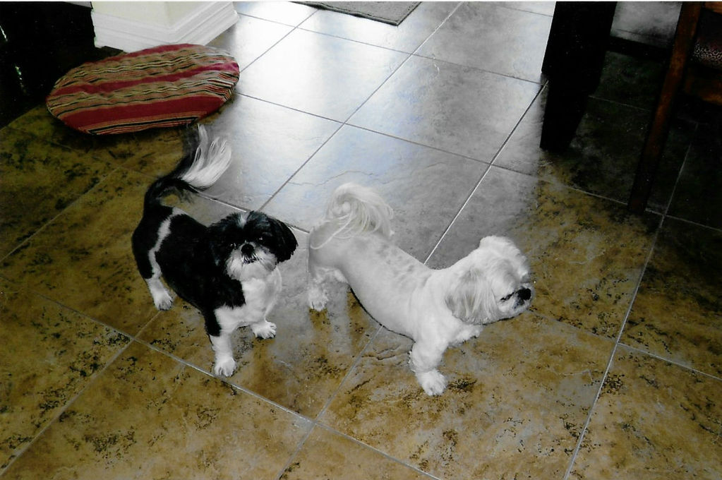 Owen and Sadie in May 2012