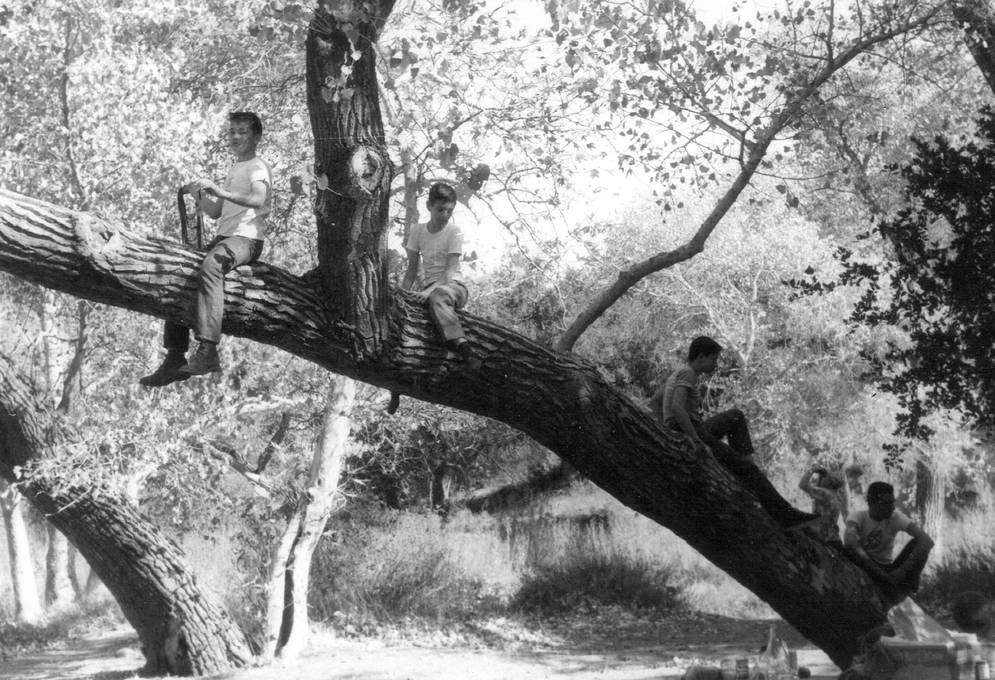 Camporee - Camp Bill Lane 