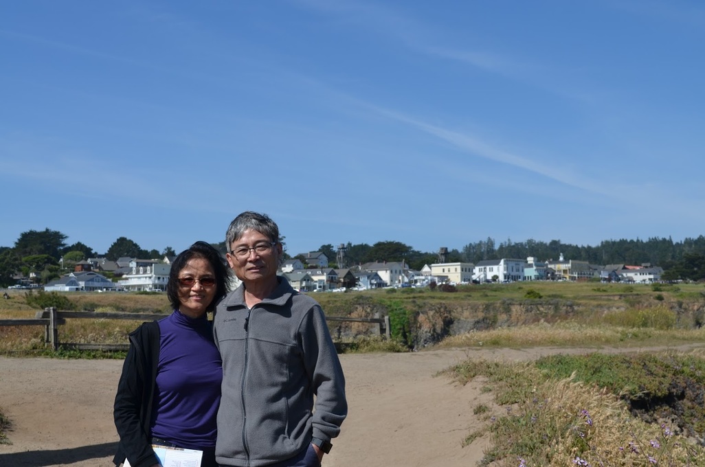 Northern California Coast (2016)