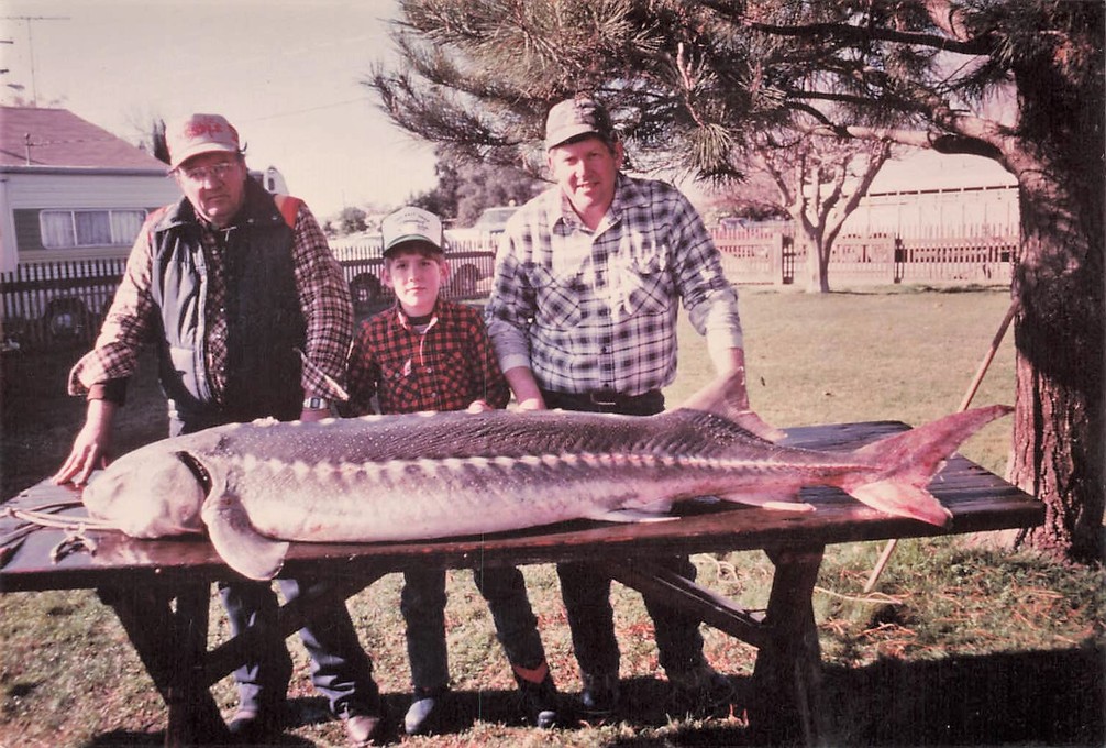 Jr Sears, Aaron & Howard Cole 1985