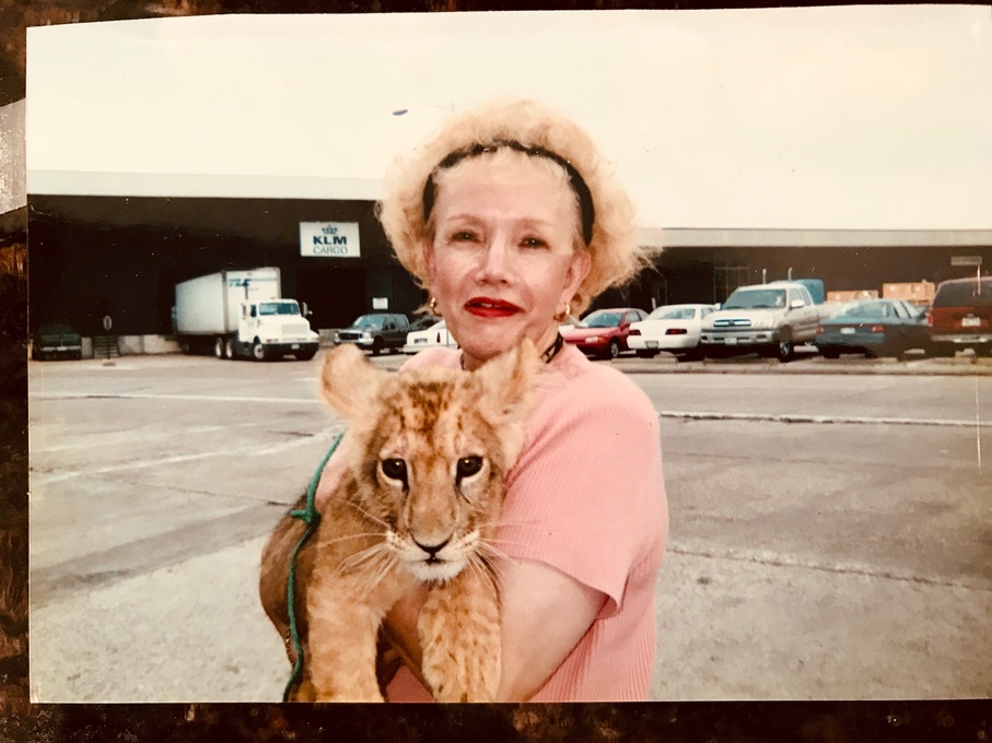 Gloria and rescue tiger