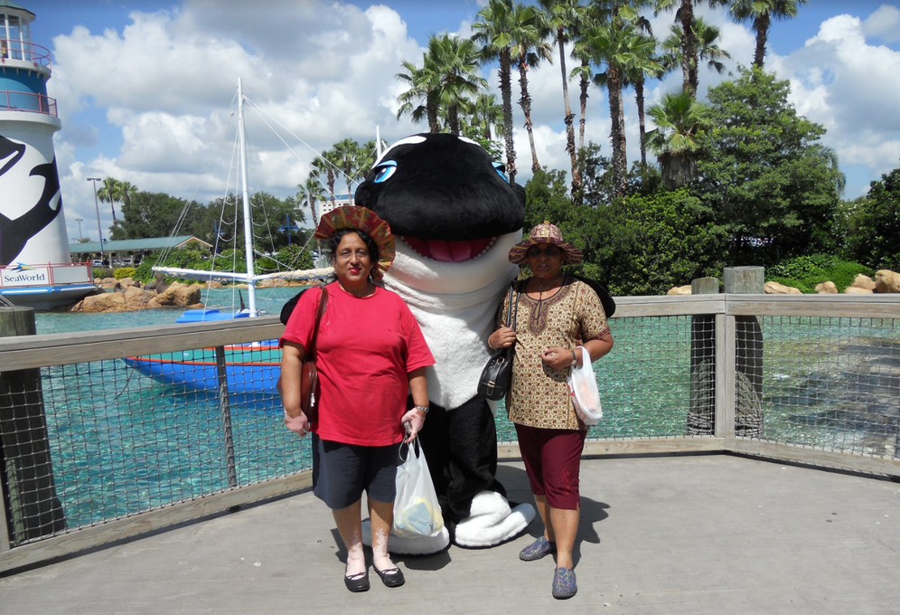 Miami Sea World