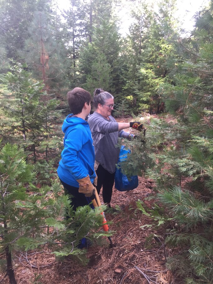 Annual Christmas Tree Cutting
