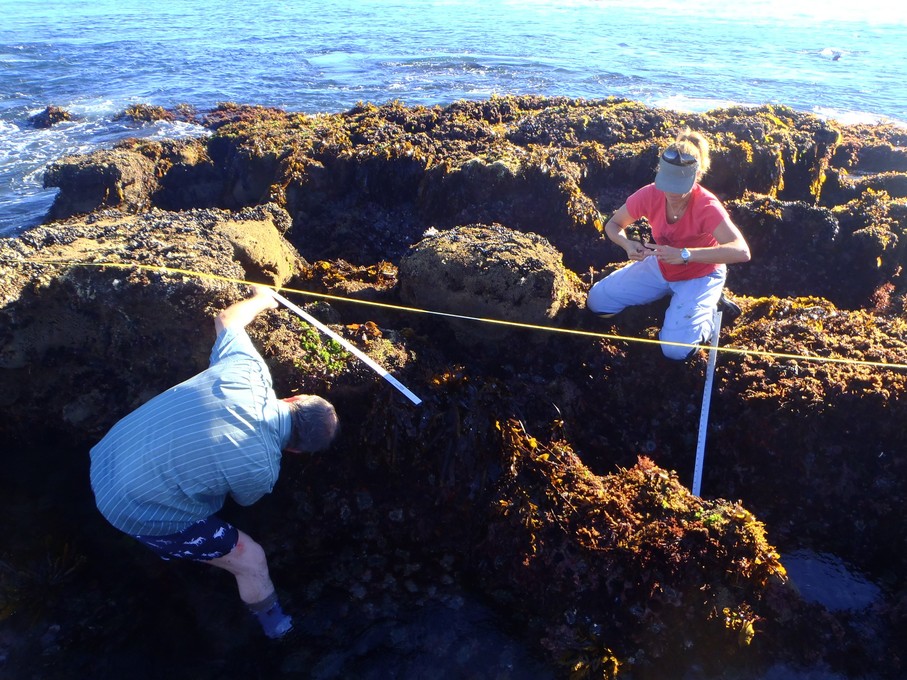 He taught me everything I know about black abalone, San Nicolas Island & so much more!