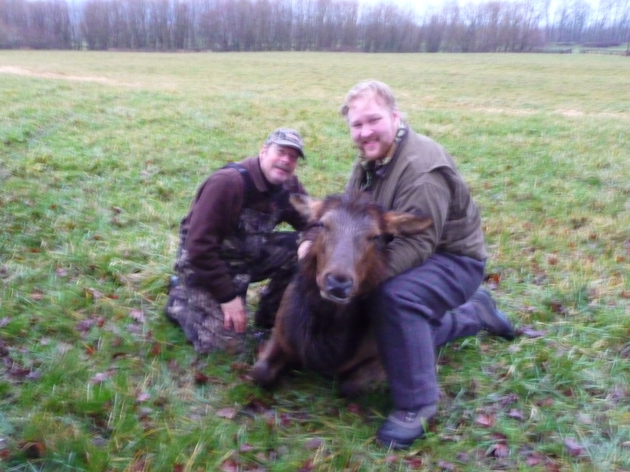  Special elk trip with Zach