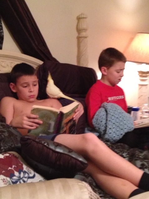 A family that reads together stays together. 