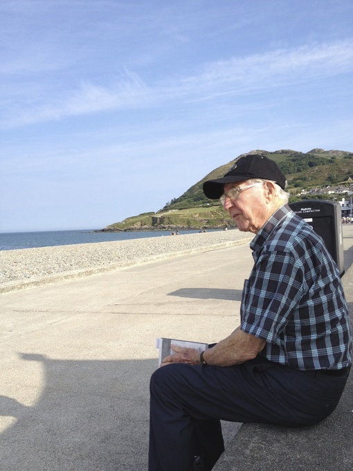 The Irish sea - 2013