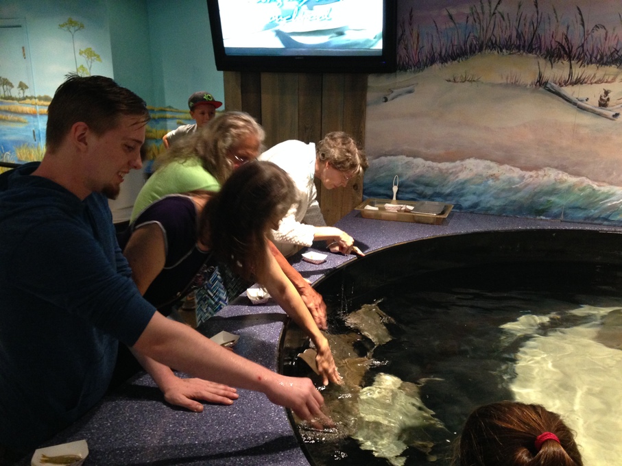 Visiting the New Orleans Aquarium