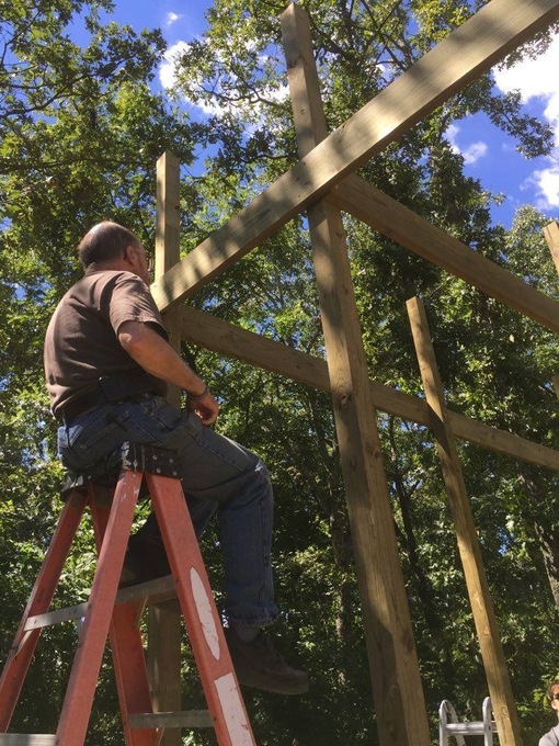 Ralph in Thought, but on a ladder