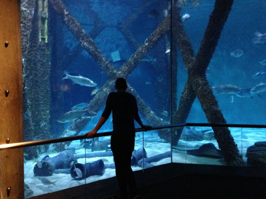 Aquarium