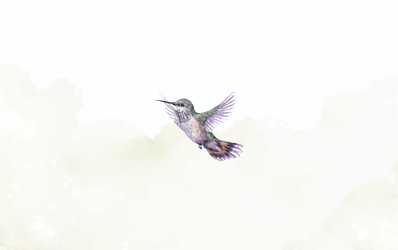 Christine - Favorite bird was a HUMMINGBIRD