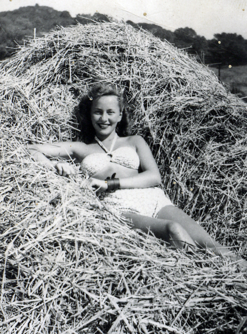 Haystack Beauty