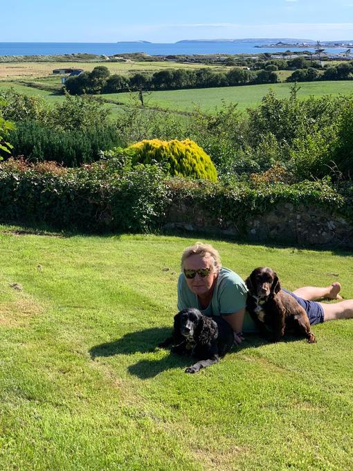 Wales with Dusty and Millie