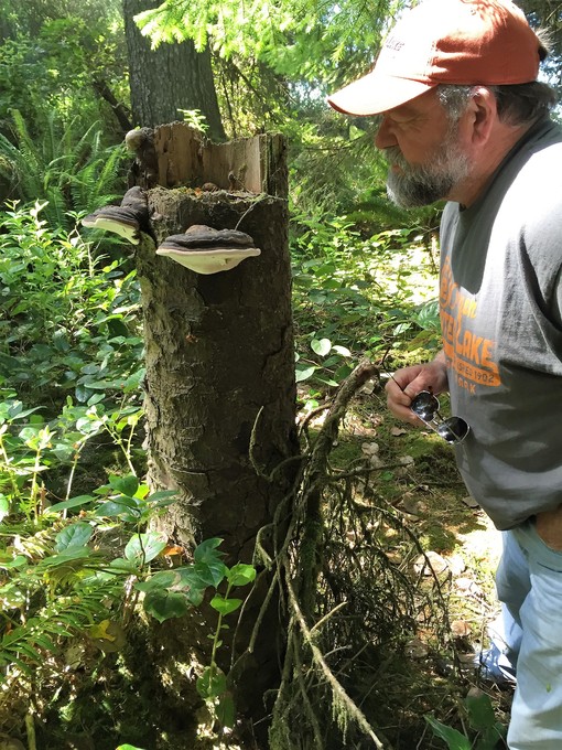 Pop finds dinner in the forest 2015