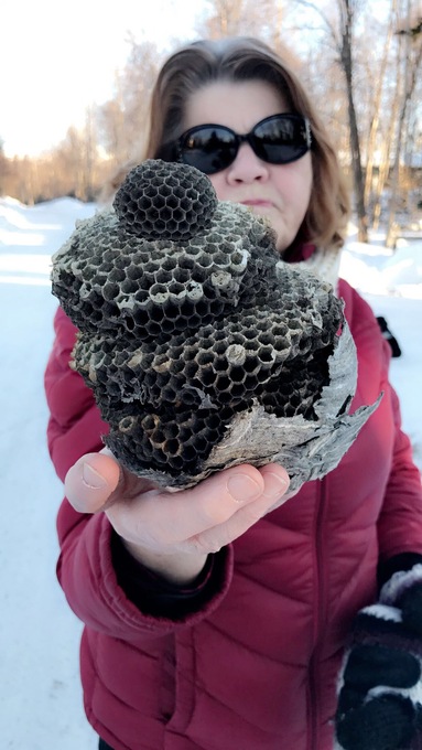 Mom's find on our walk