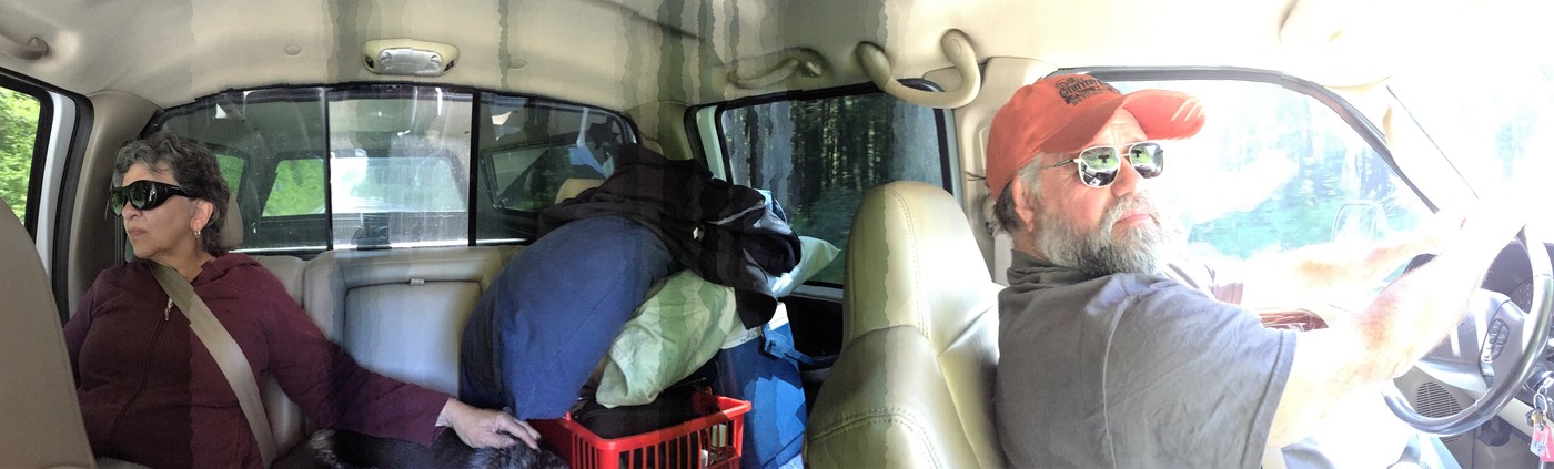 Cool kid road trip 2015