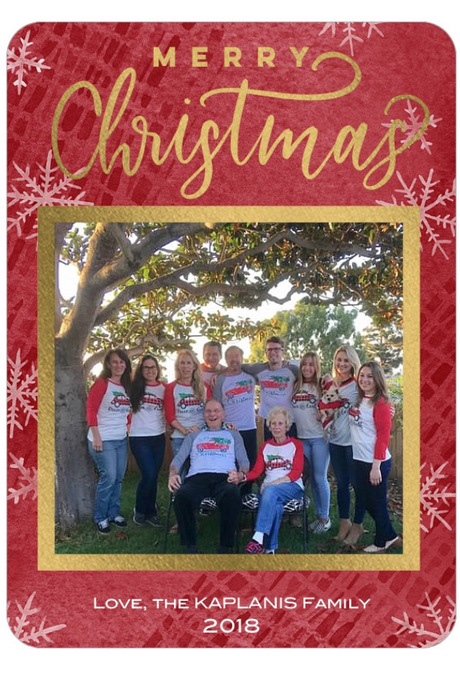 Family Christmas card: December 2018.  