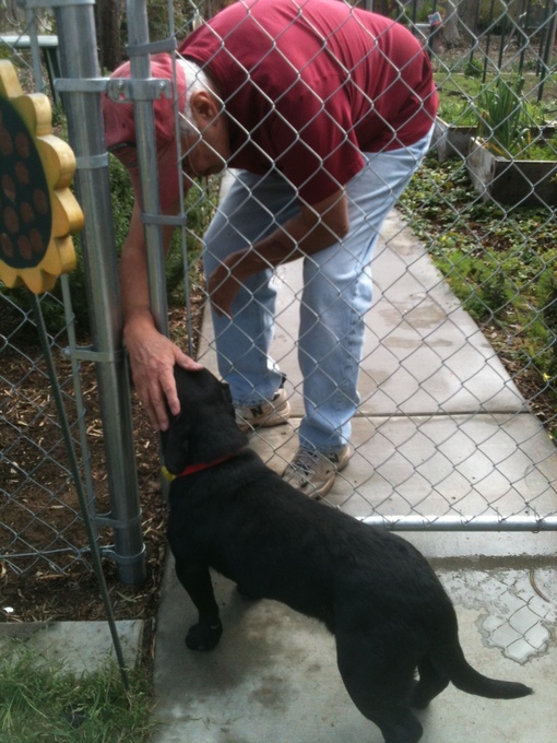 Dan and his Beloved Shadow