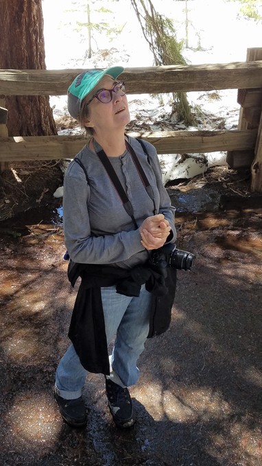 Awestruck by General Sherman in Sequoia