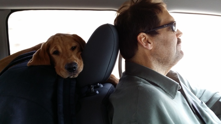 Cruising with the puppy