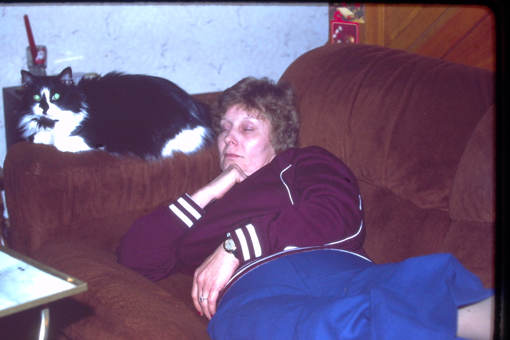 Taking a nap with Bilbo